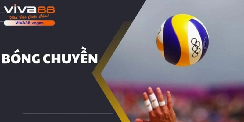 Cá cược bóng chuyền - trò chơi kinh điển thu hút nhiều thành viên tham gia