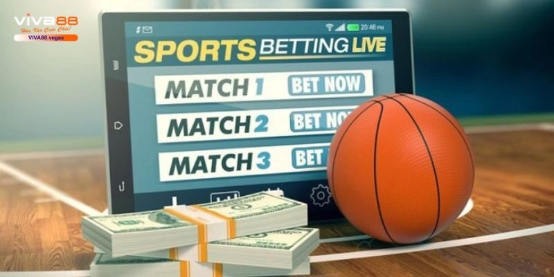 Tổng quan cá cược bóng rổ